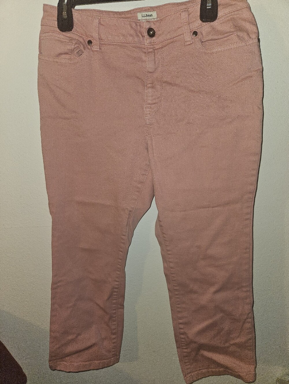 L.L. Bean Womans Pink Classic Fit Jeans 10P